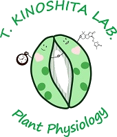 Kinoshita Lab's logo